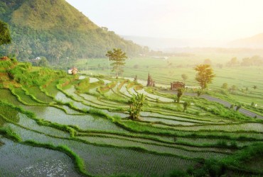Bali