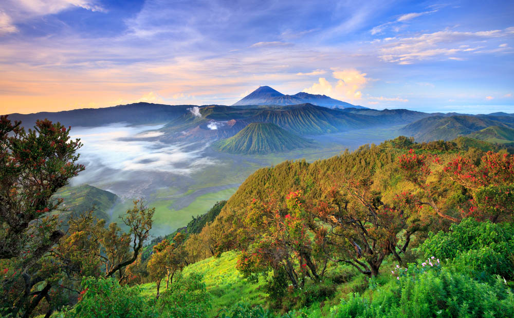 Bromo