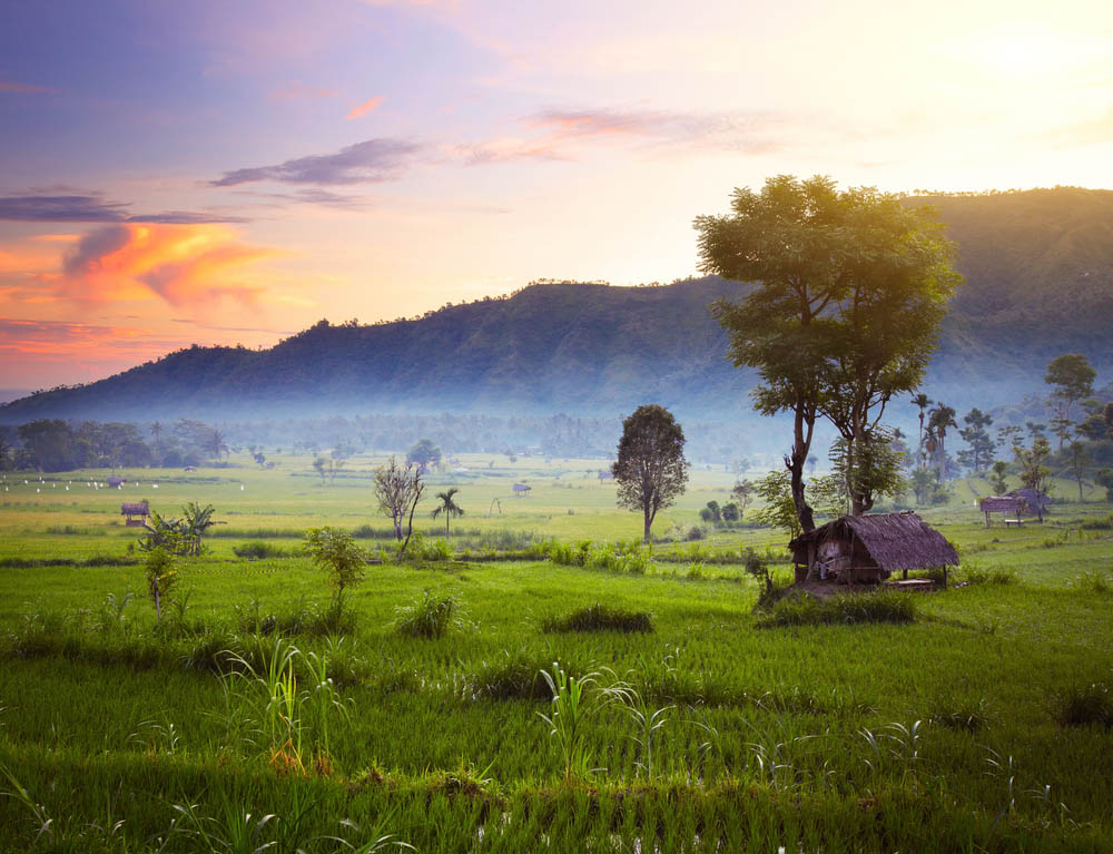 Munduk