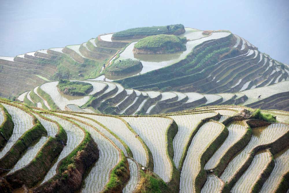 Longji