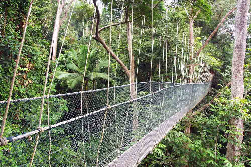 Taman Negara - BackpackenInAzië.nl