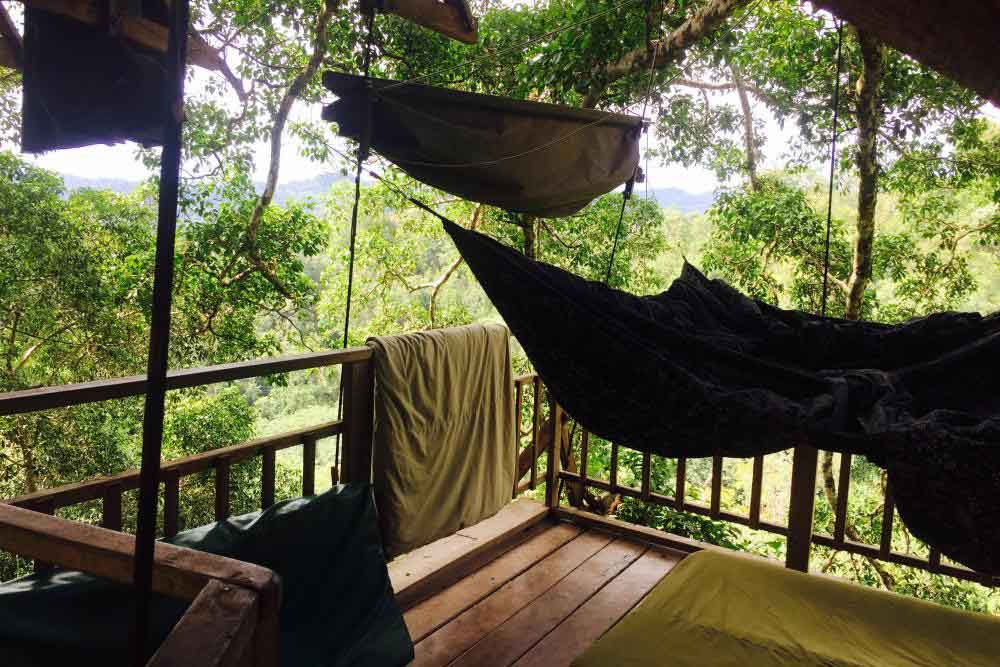 Gibbon Experience 1