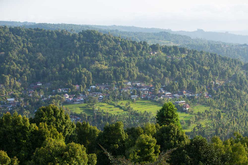 Munduk