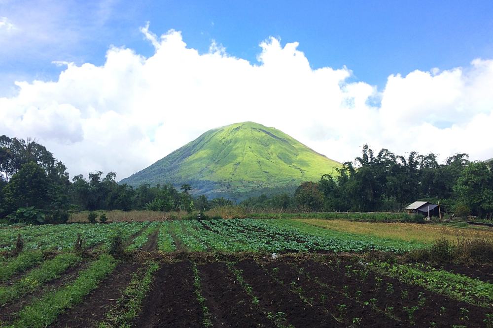 tomohon