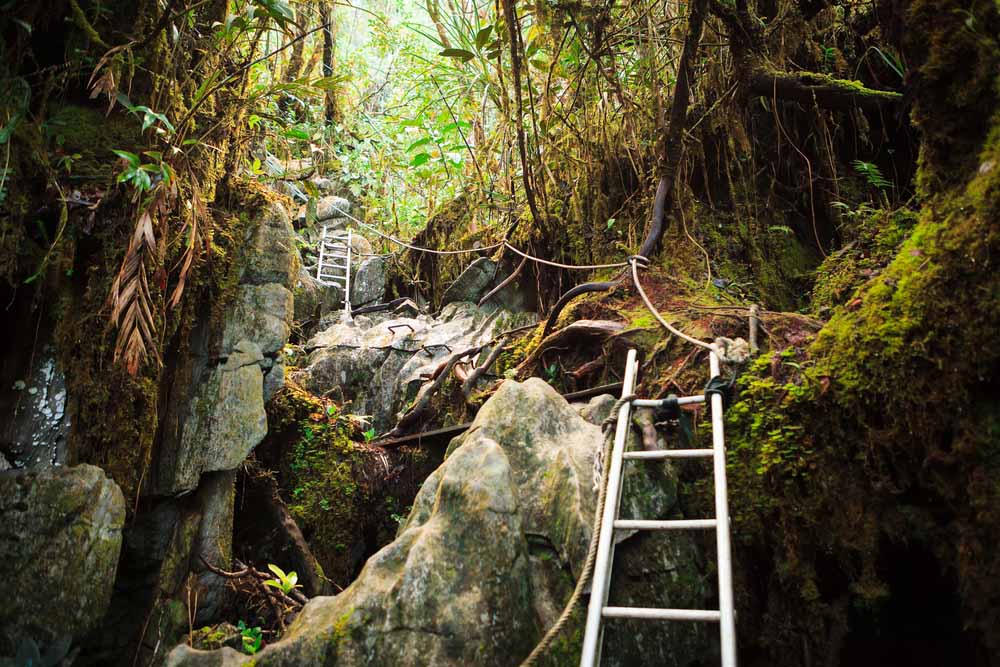 Gunung Mulu 1