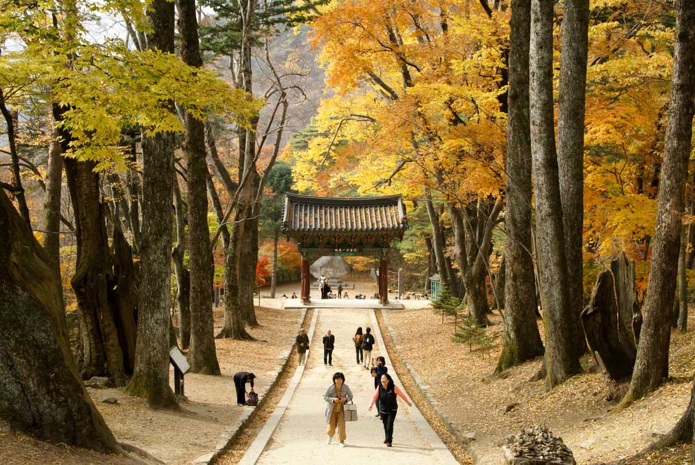 Daegu