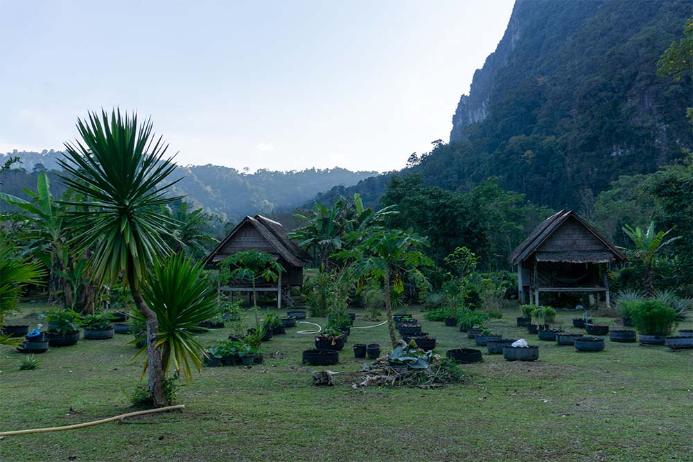 Khao Sok