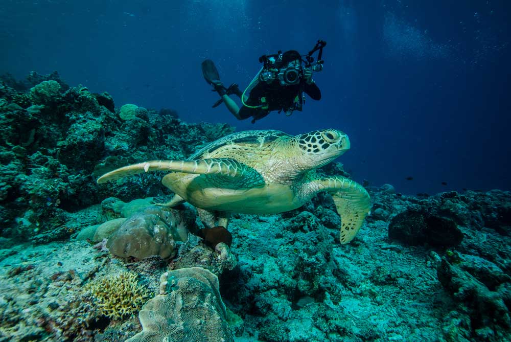 Derawan eilanden