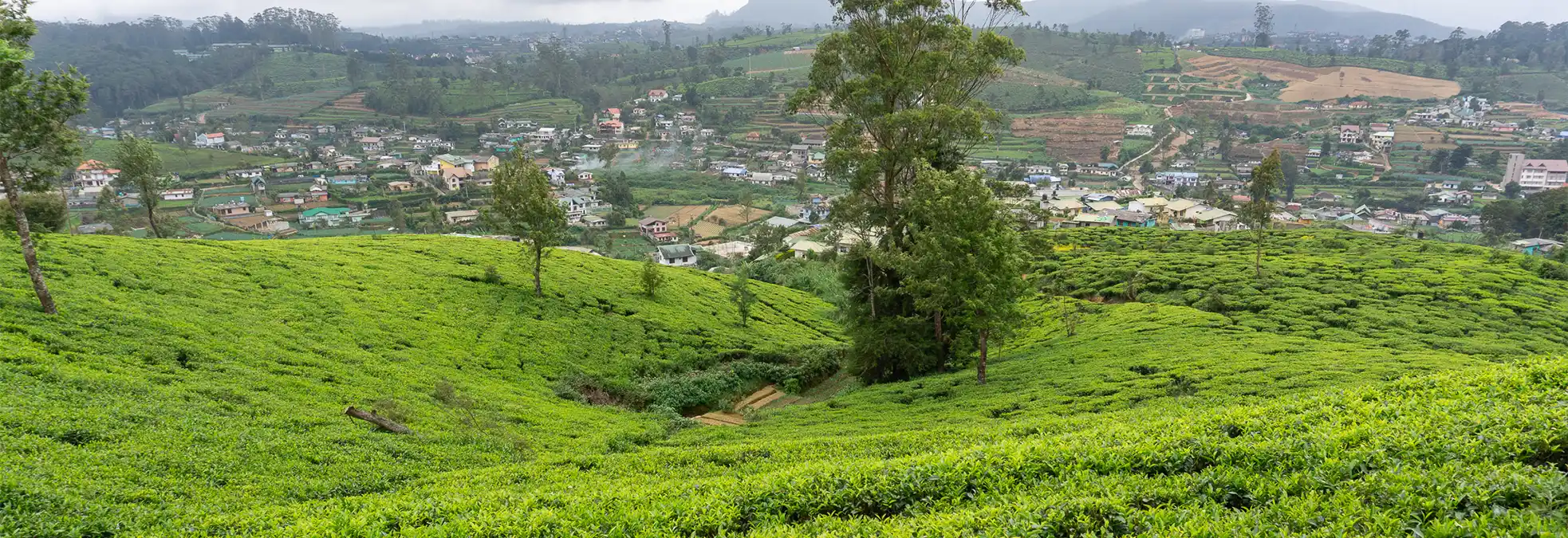 Solo reizen boven de 30: waarom Azië de perfecte bestemming is